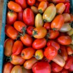 WhatsApp Image 2026-03-27 at 09.44.36